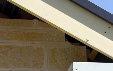 soffit repair Worth Matravers